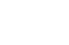 Logo Pepitor